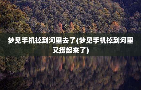 梦见手机掉到河里去了(梦见手机掉到河里又捞起来了)