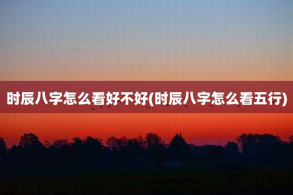 时辰八字怎么看好不好(时辰八字怎么看五行)