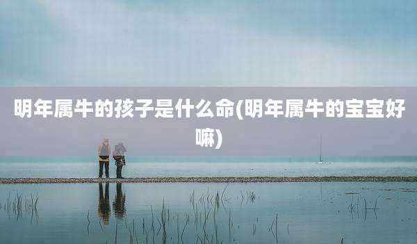 明年属牛的孩子是什么命(明年属牛的宝宝好嘛)