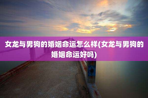 女龙与男狗的婚姻命运怎么样(女龙与男狗的婚姻命运好吗)