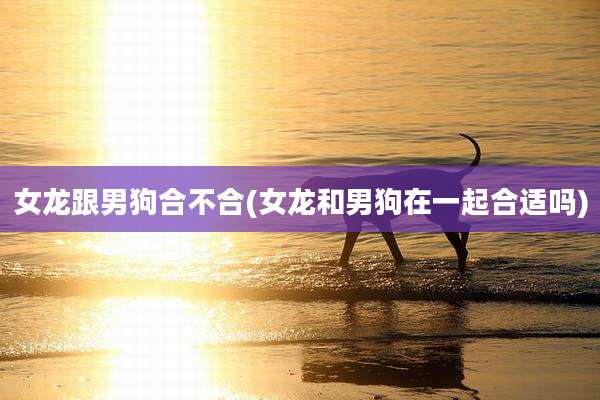 女龙跟男狗合不合(女龙和男狗在一起合适吗)