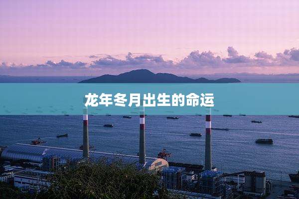 龙年冬月出生的命运
