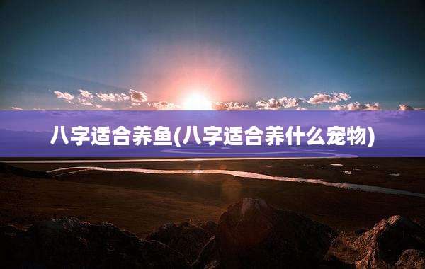 八字适合养鱼(八字适合养什么宠物)