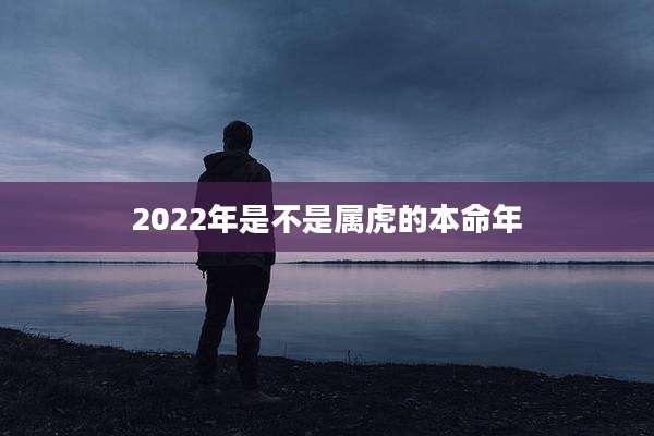 2022年是不是属虎的本命年
