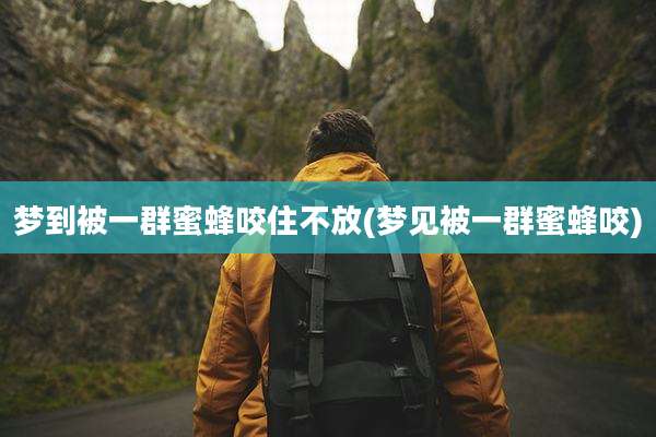 梦到被一群蜜蜂咬住不放(梦见被一群蜜蜂咬)