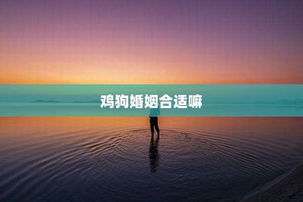 鸡狗婚姻合适嘛