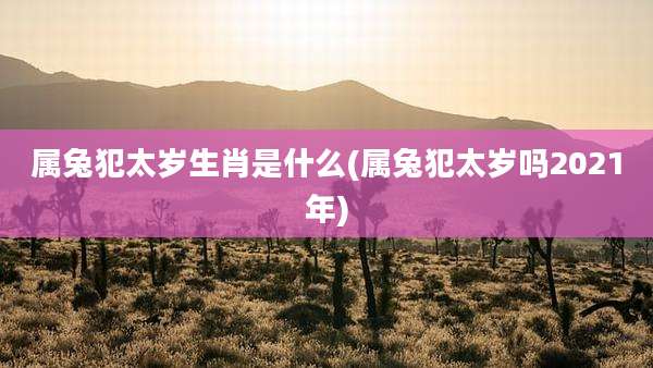 属兔犯太岁生肖是什么(属兔犯太岁吗2021年)