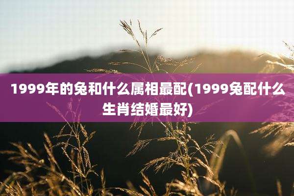1999年的兔和什么属相最配(1999兔配什么生肖结婚最好)