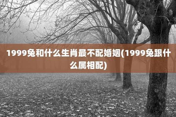 1999兔和什么生肖最不配婚姻(1999兔跟什么属相配)