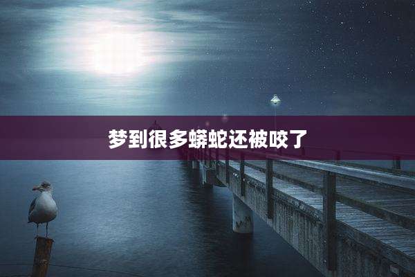梦到很多蟒蛇还被咬了