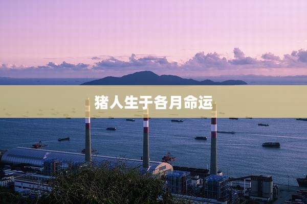 猪人生于各月命运
