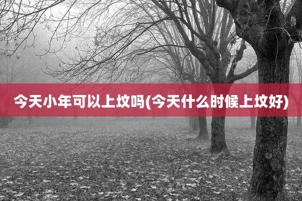 今天小年可以上坟吗(今天什么时候上坟好)