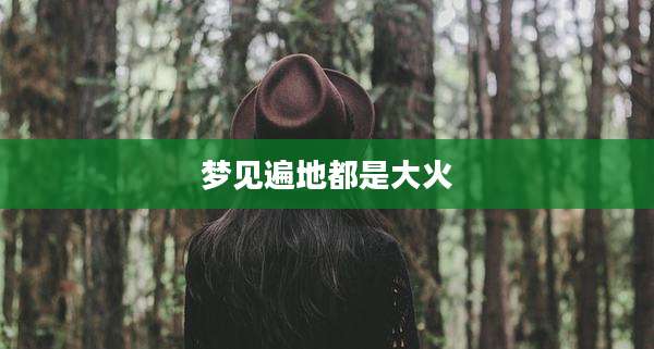 梦见遍地都是大火
