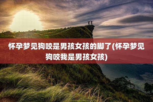 怀孕梦见狗咬是男孩女孩的脚了(怀孕梦见狗咬我是男孩女孩)
