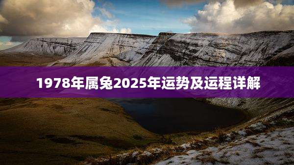 1978年属兔2025年运势及运程详解