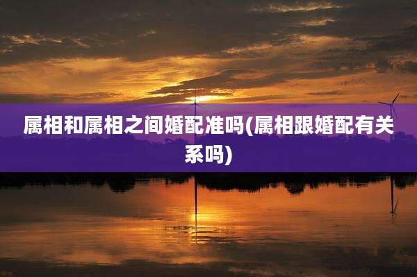 属相和属相之间婚配准吗(属相跟婚配有关系吗)