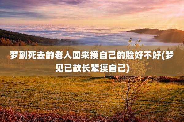 梦到死去的老人回来摸自己的脸好不好(梦见已故长辈摸自己)