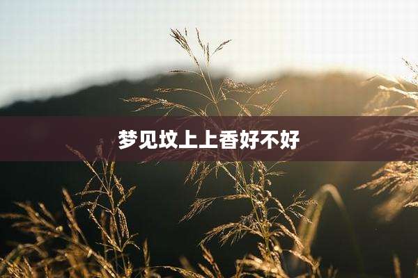 梦见坟上上香好不好