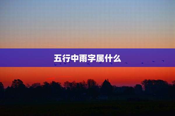 五行中雨字属什么