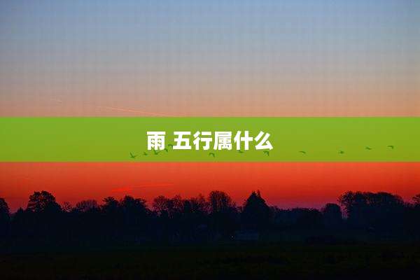 雨 五行属什么