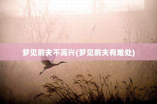 梦见前夫不高兴(梦见前夫有难处)