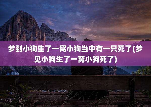 梦到小狗生了一窝小狗当中有一只死了(梦见小狗生了一窝小狗死了)