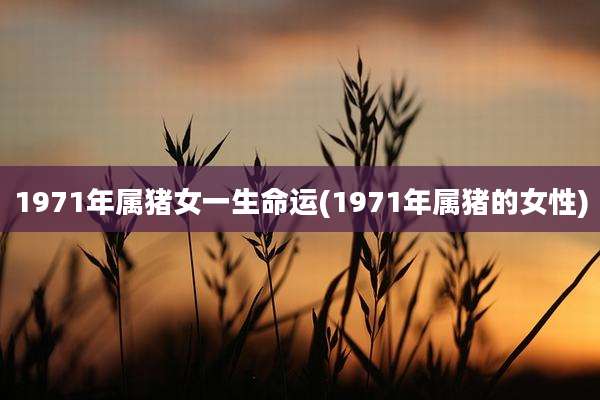 1971年属猪女一生命运(1971年属猪的女性)