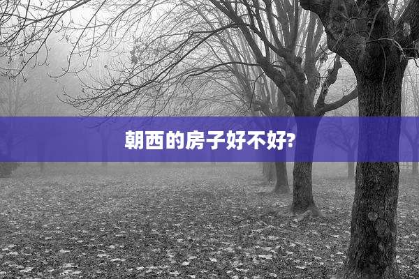 朝西的房子好不好?