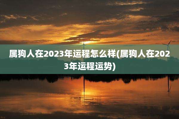 属狗人在2023年运程怎么样(属狗人在2023年运程运势)
