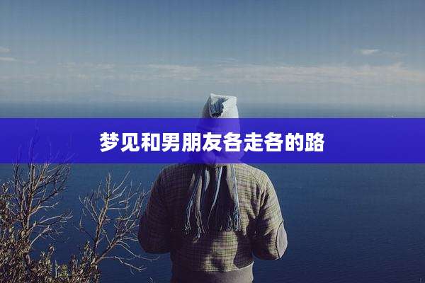 梦见和男朋友各走各的路