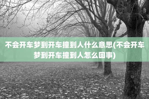 不会开车梦到开车撞到人什么意思(不会开车梦到开车撞到人怎么回事)