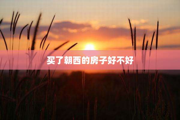 买了朝西的房子好不好