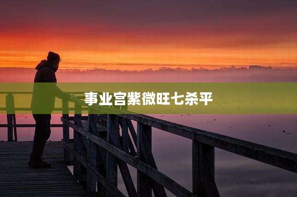 事业宫紫微旺七杀平