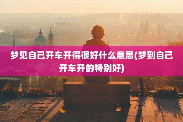 梦见自己开车开得很好什么意思(梦到自己开车开的特别好)