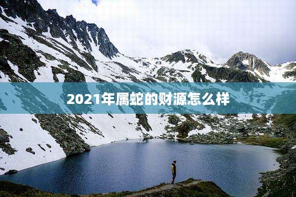 2021年属蛇的财源怎么样