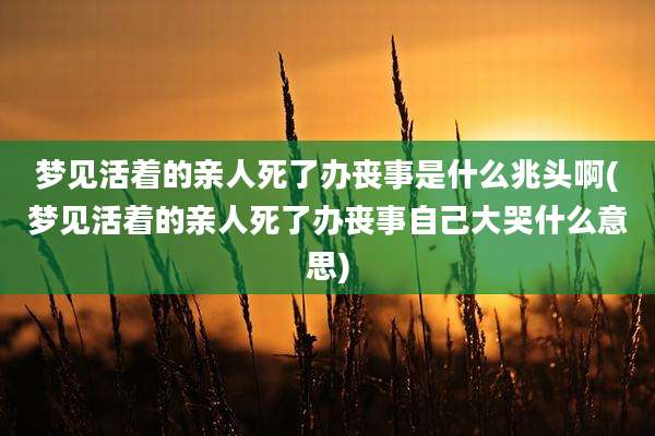 梦见活着的亲人死了办丧事是什么兆头啊(梦见活着的亲人死了办丧事自己大哭什么意思)