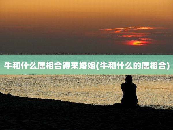 牛和什么属相合得来婚姻(牛和什么的属相合)