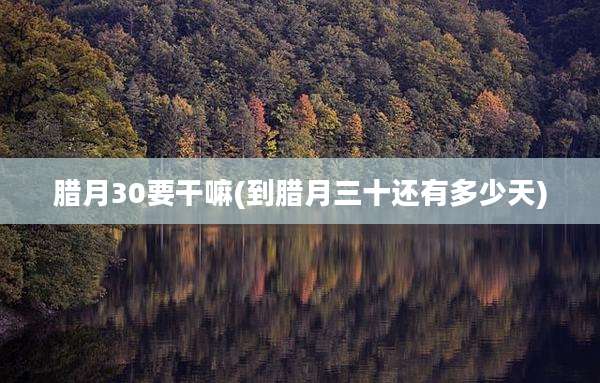 腊月30要干嘛(到腊月三十还有多少天)