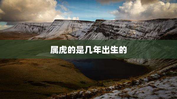 属虎的是几年出生的