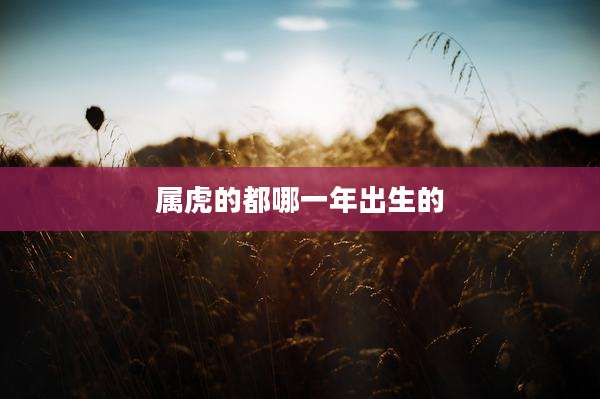属虎的都哪一年出生的