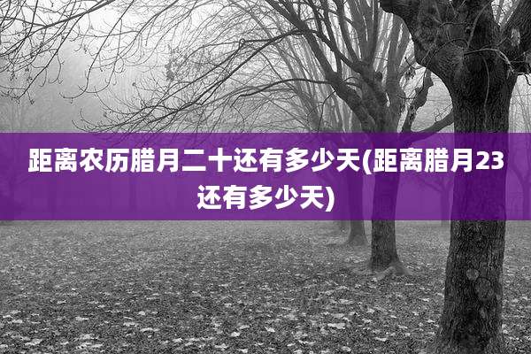 距离农历腊月二十还有多少天(距离腊月23还有多少天)