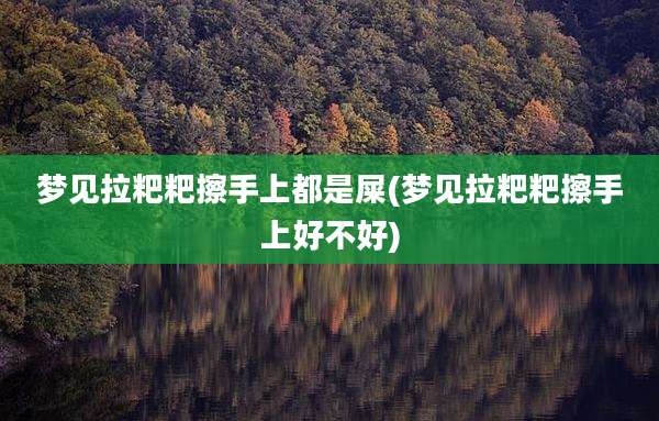 梦见拉粑粑擦手上都是屎(梦见拉粑粑擦手上好不好)