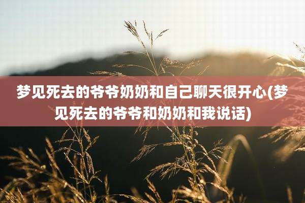 梦见死去的爷爷奶奶和自己聊天很开心(梦见死去的爷爷和奶奶和我说话)