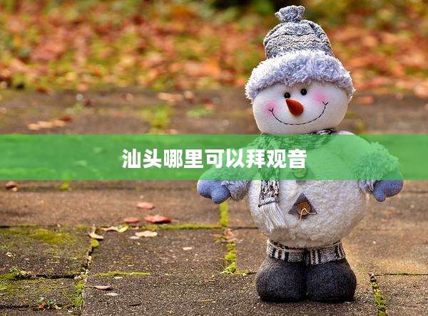 汕头哪里可以拜观音