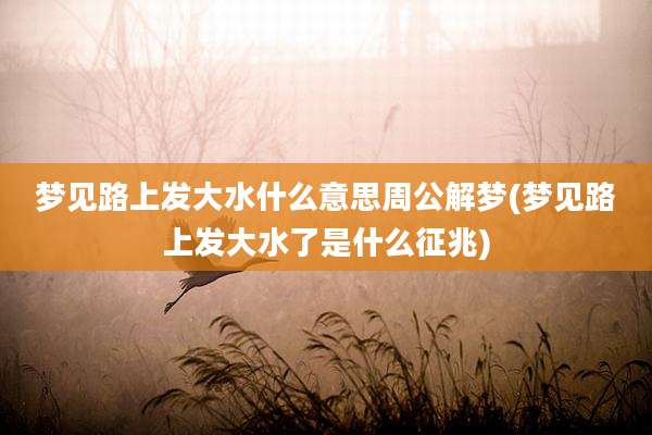 梦见路上发大水什么意思周公解梦(梦见路上发大水了是什么征兆)