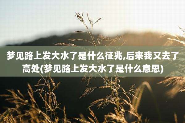 梦见路上发大水了是什么征兆,后来我又去了高处(梦见路上发大水了是什么意思)