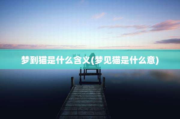梦到猫是什么含义(梦见猫是什么意)