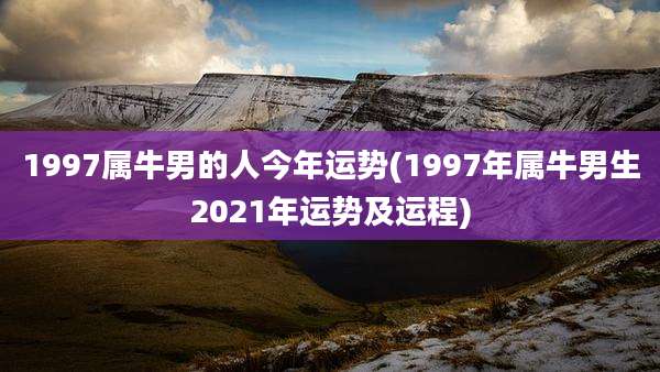 1997属牛男的人今年运势(1997年属牛男生2021年运势及运程)