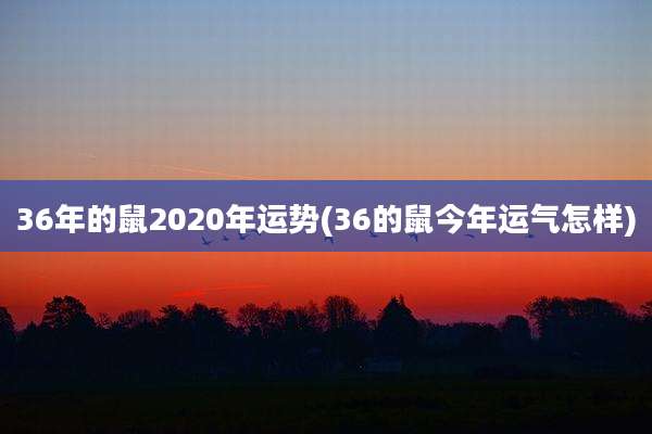 36年的鼠2020年运势(36的鼠今年运气怎样)