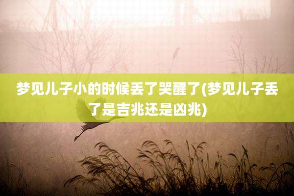 梦见儿子小的时候丢了哭醒了(梦见儿子丢了是吉兆还是凶兆)